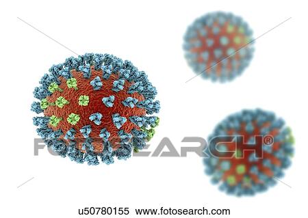 Stock Photography - Bird flu virus, illustration. Fotosearch