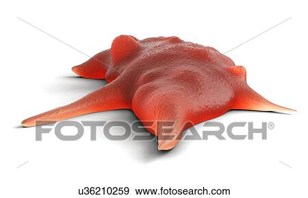 Stock Photo - Bone cancer cell. Fotosearch