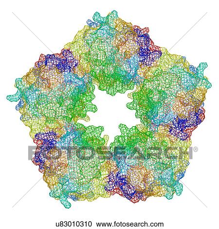 Stock Image - C-reactive protein, molecular model. Fotosearch