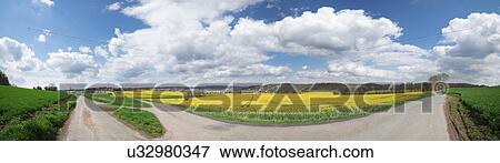 Stock Photo - Canola field, British Columbia, Canada. Fotosearch