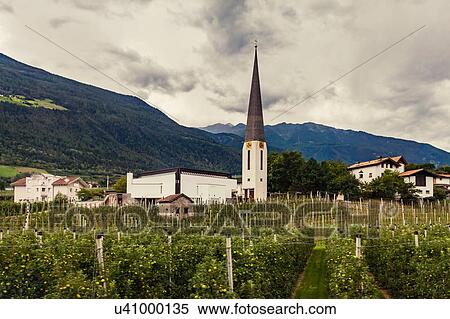 Stock Photography - Church and orchards in Vinschgau Valley, South Tyrol, Italy. Fotosearch