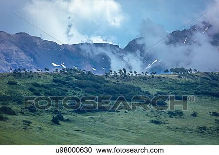 Stock Image - Clouds with Mountains and green trees - San Juan Mountains, Colorado, USA. Fotosearch