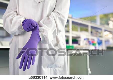 Picture - Cropped view of scientist in laboratory putting on latex gloves. Fotosearch