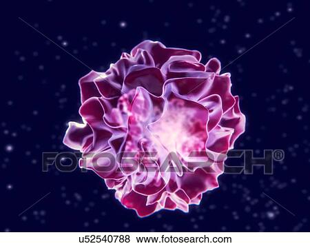 Stock Photo - Dendritic cell, illustration. Fotosearch