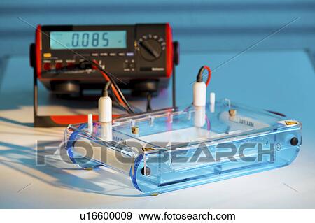 Dna samples being tested View Large Photo Image Stock Photo - Dna samples being tested. Fotosearch