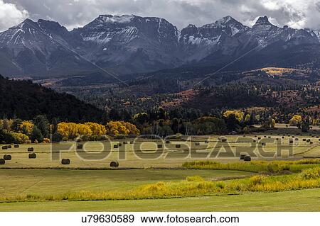 Stock Photo - Double RL Ranch near Ridgway, Colorado USA with the Sneffels Range in the San Juan Mountains. Fotosearch
