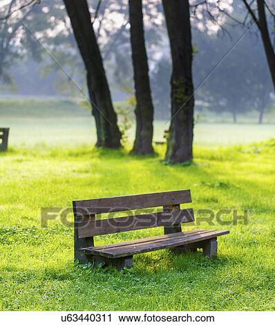 Stock Image - Empty park bench on grass. Fotosearch