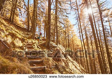 Family hiking, rear view, low angle view, Schnalstal, South Tyrol, Italy View Large Photo Image Stock Image - Family hiking, rear view, low angle view, Schnalstal, South Tyrol, Italy. Fotosearch