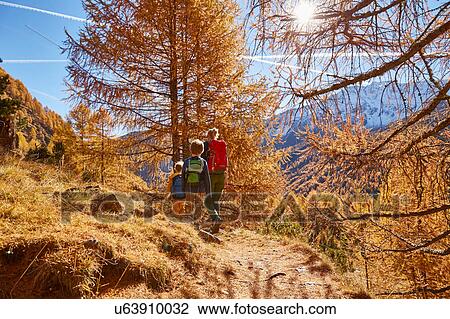 Stock Image - Family hiking, rear view, Schnalstal, South Tyrol, Italy. Fotosearch