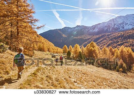 Family hiking, rear view, Schnalstal, South Tyrol, Italy View Large Photo Image Stock Photo - Family hiking, rear view, Schnalstal, South Tyrol, Italy. Fotosearch