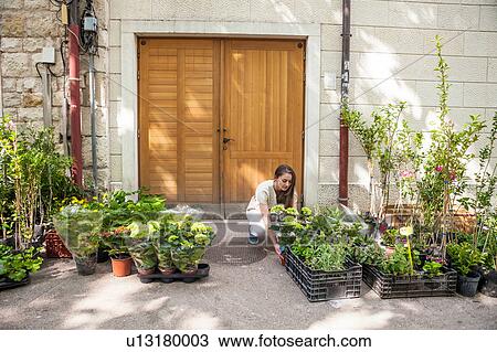 Stock Image - Female tourist looking at potted plants at market stall, Split, Dalmatia, Croatia. Fotosearch