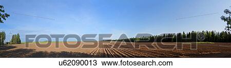 Stock Image - Field and blue sky, panoramic. Fotosearch