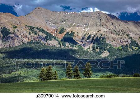 Picture -  Field with Mountains and green trees - San Juan Mountains, Colorado, USA. Fotosearch