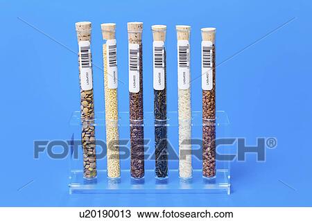 Stock Image - Food samples in test tubes in a test tube rack. Fotosearch