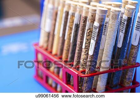 Stock Photograph - Food samples in test tubes in a test tube rack. Fotosearch
