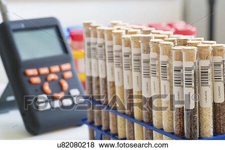 Stock Photo - Food samples in test tubes. Fotosearch