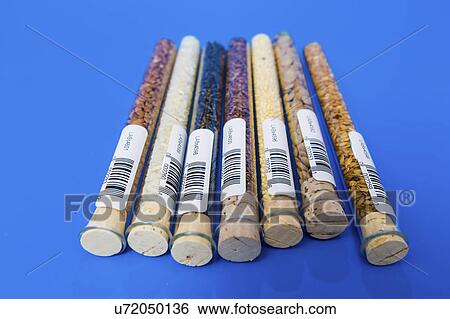 Stock Photograph - Food samples in test tubes. Fotosearch