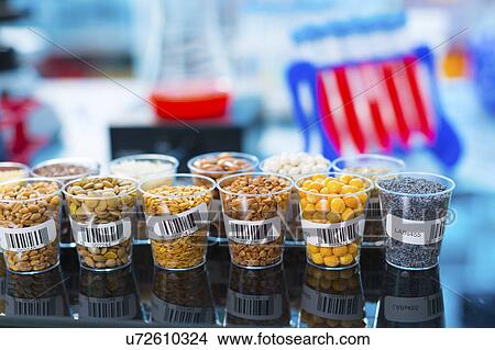Food samples View Large Photo Image Picture - Food samples. Fotosearch