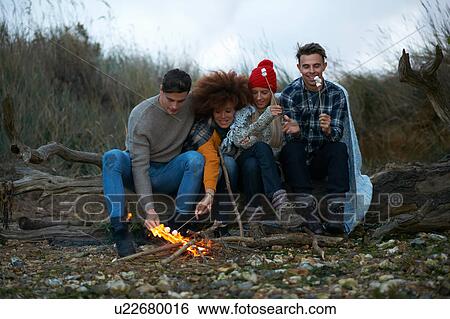 Four adult friends huddled together toasting marshmallows on beach at dusk View Large Photo Image Stock Photograph - Four adult friends huddled together toasting marshmallows on beach at dusk. Fotosearch
