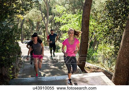 Four male and female runners running in park, Split, Dalmatia, Croatia View Large Photo Image Stock Photography - Four male and female runners running in park, Split, Dalmatia, Croatia. Fotosearch