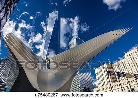 Freedom Tower and Oculos - seen from World Trade Center, NY, NY View Large Photo Image Stock Photo - Freedom Tower and Oculos - seen from World Trade Center, NY, NY. Fotosearch