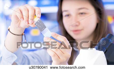 Girl examining microscope slide View Large Photo Image Stock Image - Girl examining microscope slide. Fotosearch