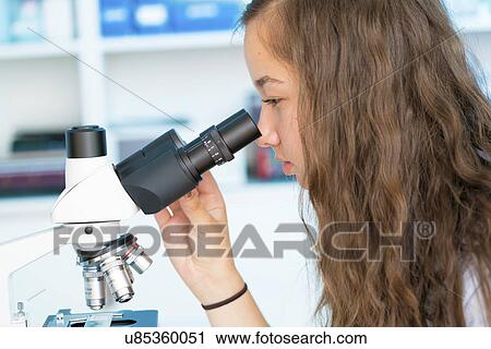 Girl using microscope View Large Photo Image Stock Image - Girl using microscope. Fotosearch