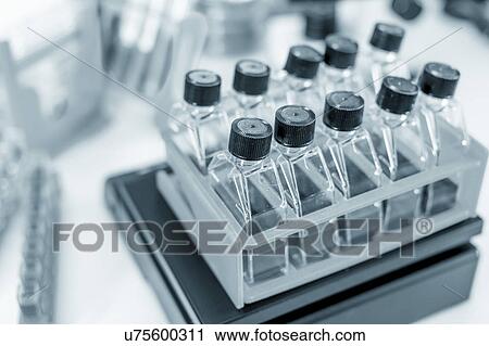 Stock Image - Glass bottles in a rack. Fotosearch
