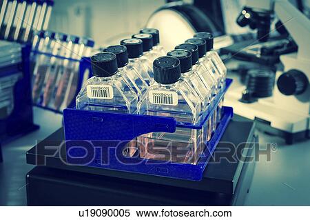 Stock Photography - Glass bottles in a rack. Fotosearch