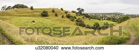 Stock Image - Grassy hills, Auckland, New Zealand. Fotosearch