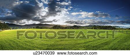Stock Photo - Green field, New Zealand. Fotosearch