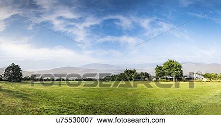 Stock Photo - Green field. Fotosearch