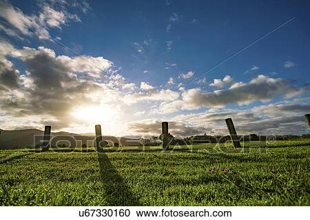 Stock Image - Green field with wooden posts. Fotosearch