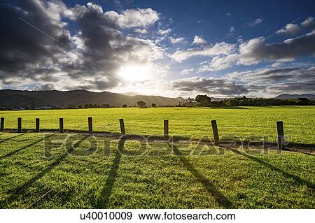 Green field with wooden posts View Large Photo Image Stock Photo - Green field with wooden posts. Fotosearch