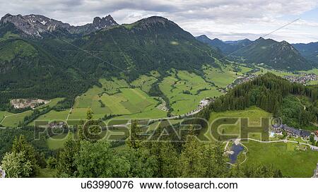 Stock Photograph - Green fields and trees in the Swiss Alps. Fotosearch