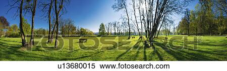 Green grass in park with trees View Large Photo Image Stock Photography - Green grass in park with trees. Fotosearch