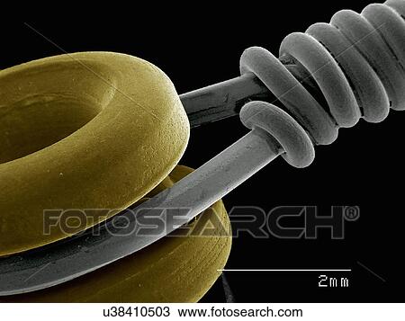 Stock Image - Guitar string. Fotosearch