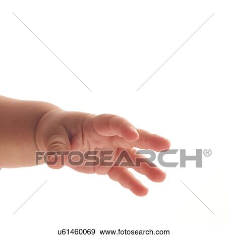 Stock Photo - Hand of baby (6-11 months) on white background. Fotosearch