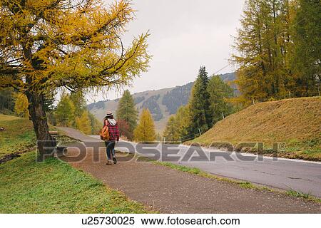 Stock Photography - Hiker walking by road, Alpe di Siusi park, Dolomite Alps, South Tyrol, Italy. Fotosearch