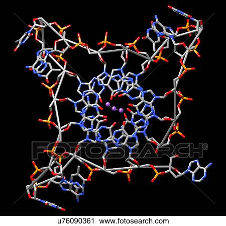 Human Telomeric G-Quadruplex View Large Photo Image Stock Image - Human Telomeric G-Quadruplex. Fotosearch