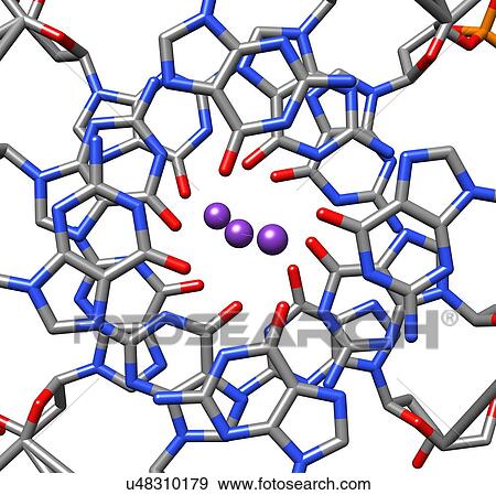 Stock Photo - Human Telomeric G-Quadruplex. Fotosearch