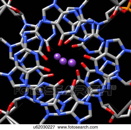 Stock Photo - Human Telomeric G-Quadruplex. Fotosearch