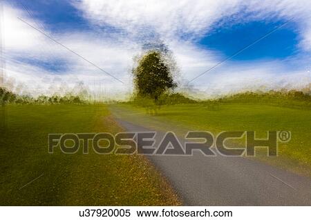Stock Photography - Impressionistic painterly view of Lone Tree and curved road/driveway in rural Virginia. Fotosearch
