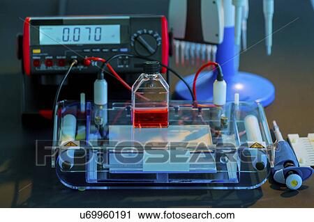 Stock Image - Laboratory equipment. Fotosearch