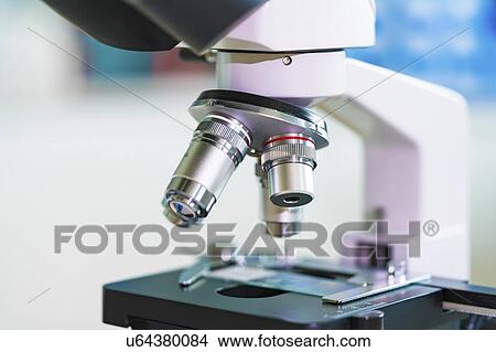 Picture - Laboratory microscope. Fotosearch