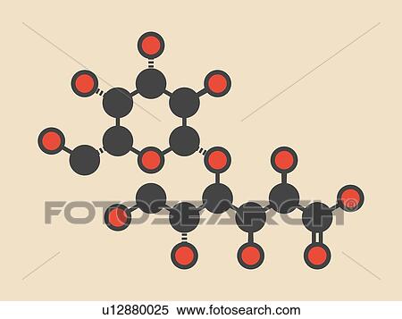 Stock Photography - Lactobionic acid molecule, illustration. Fotosearch