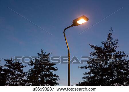 Stock Photo - Lit street light and silhouetted foliage against blue sky at dusk. Fotosearch