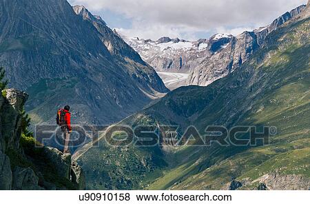 Stock Photo - Lone male climber looking out from ridge, Aletsch Glacier, Canton Wallis, Switzerland. Fotosearch