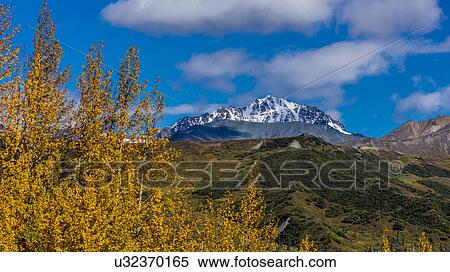 Lookout view of Glacier and Mountains off Richardson Highway, Route 4, Alaska View Large Photo Image Stock Photography - Lookout view of Glacier and Mountains off Richardson Highway, Route 4, Alaska. Fotosearch