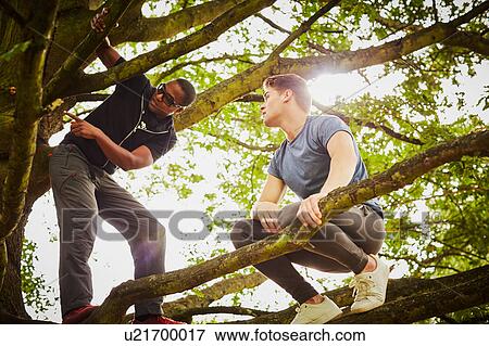 Stock Photo - Man with personal trainer instructing how to climb tree in park. Fotosearch